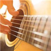 Offro lezioni private di chitarra classica/elettrica per appassionati alle prime armi nella zona di Potenza. Esperienza pregressa nel settore con massima disponibilità e serietà